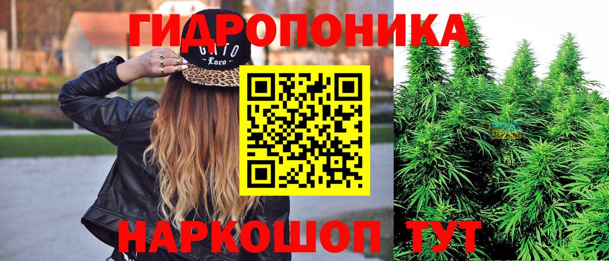 Марихуана Ganja  Бошки марихуана план  Конопля Bruce Banner  Вход с VPN  Ангарск  Канабис конопля 